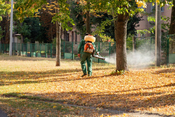 Flea Control Services in Portola Valley, CA