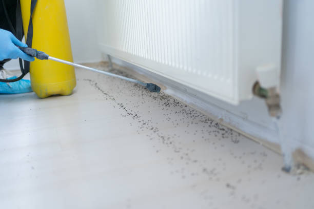 Best Mosquito Control Services  in Portola Valley, CA